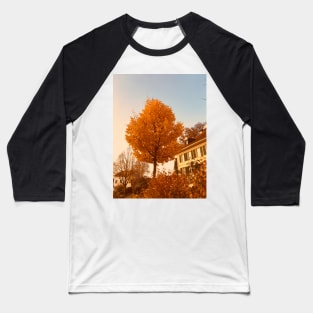 Golden leaves in the sun Baseball T-Shirt